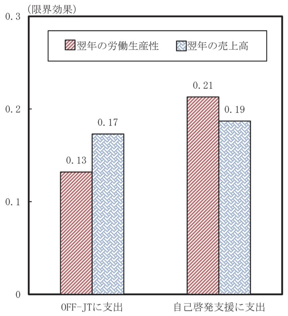 能力開発への費用の支出が翌年の企業のパフォーマンスに与える効果